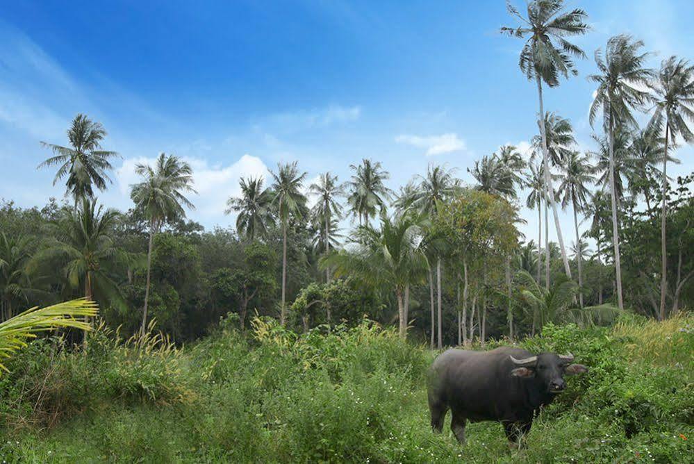 Samui Le Reve Hotel Namüang Kültér fotó