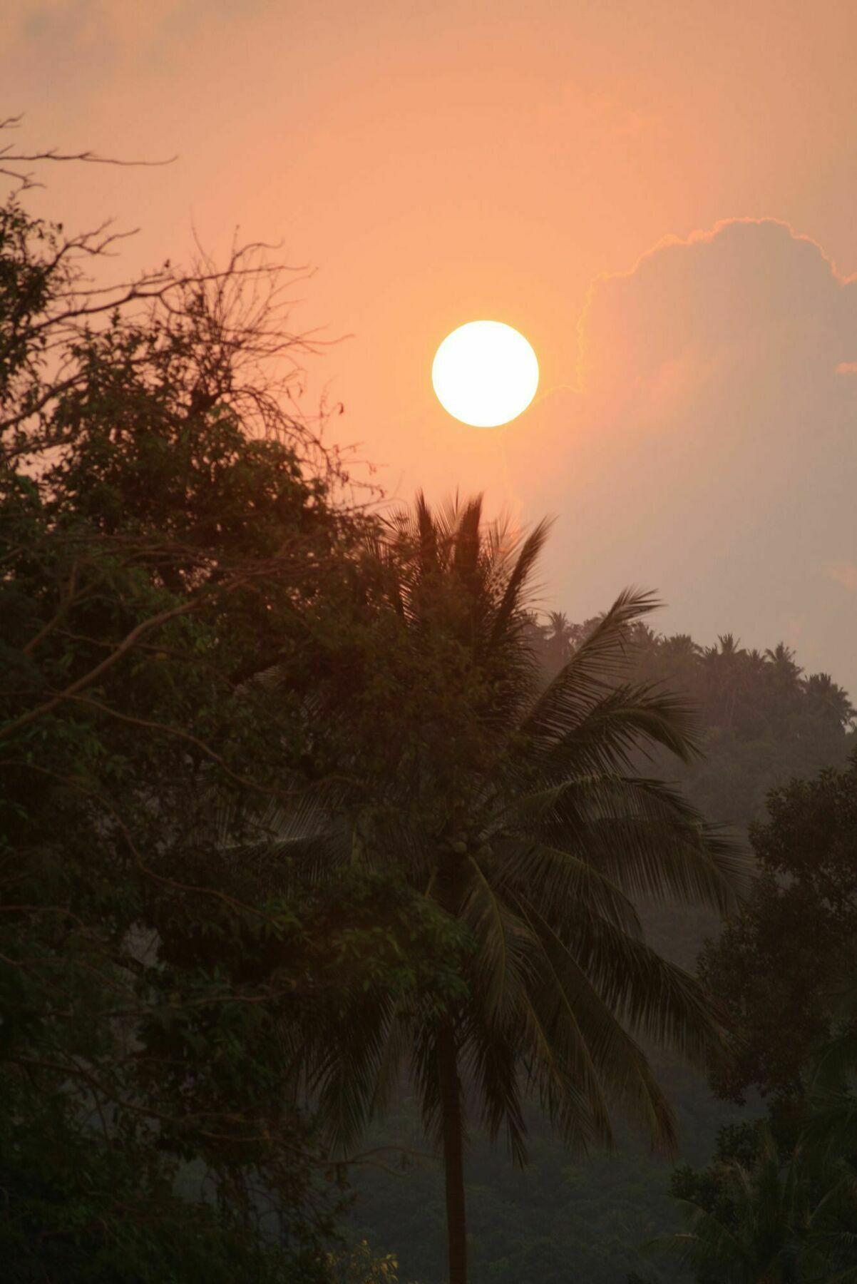 Samui Le Reve Hotel Namüang Kültér fotó